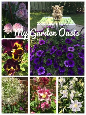  My Garden: An Oasis of Serenity and Flourishing Life