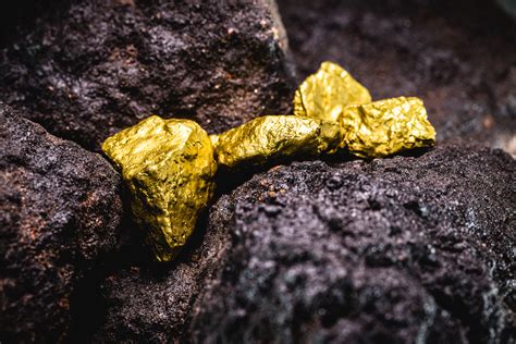  The Gold Mine: How To Invest In It And Get Rich - A Russian Masterpiece On The Art Of Investment